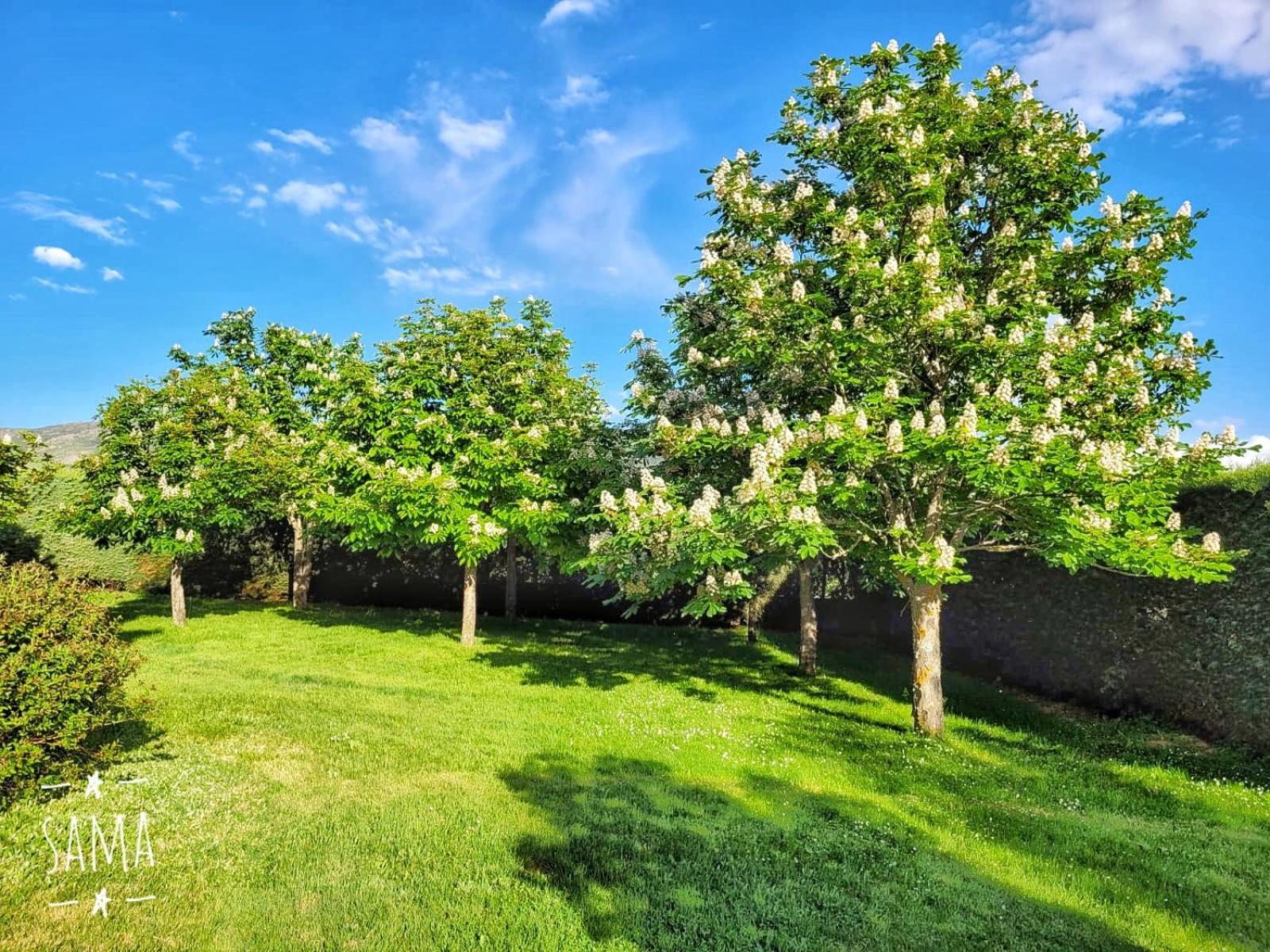 Sama Atalaya Villa Trescasas Dış mekan fotoğraf